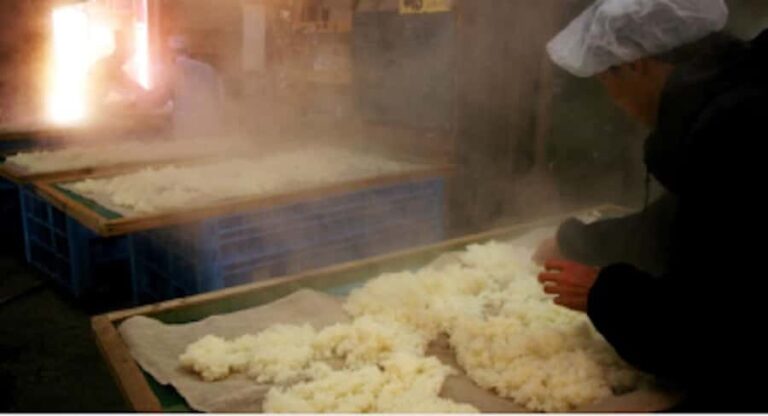 Miyagi: Hagino Sake Brewery Tour and Tasting - Who Should Consider This Tour?