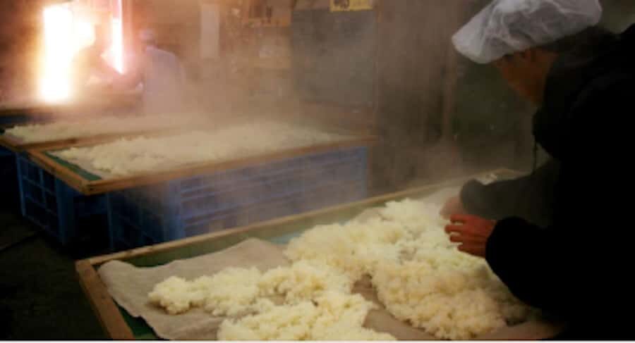 Miyagi: Hagino Sake Brewery Tour and Tasting - Who Should Consider This Tour?