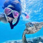 Miyako island: Sea Turtle Snorkeling Tour - The Itinerary: What You Can Expect