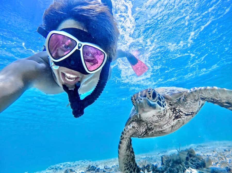 Miyako island: Sea Turtle Snorkeling Tour - The Itinerary: What You Can Expect