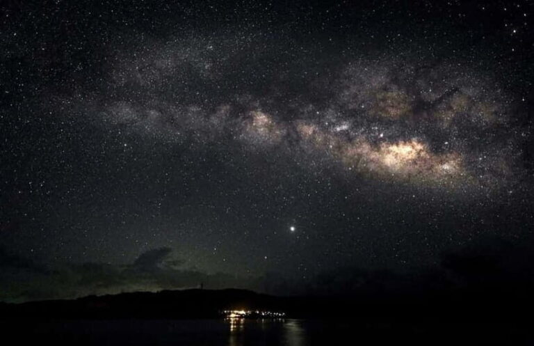 Miyako Island: Stars & Jungle Night Walking Tour - What to Expect: The Practical Details