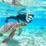 Miyako Island: SUP or Canoeing and Snorkeling Experience - Duration, Group Size, and Flexibility