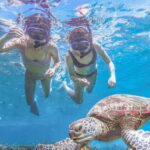 Miyakojima: SUP and Snorkeling- Two Activities in One Day - Why This Tour Offers Real Value