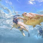 Miyakojima: SUP and Snorkeling- Two Activities in One Day - Who Will Love This Tour?