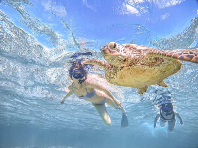 Miyakojima: SUP and Snorkeling- Two Activities in One Day - Who Will Love This Tour?