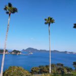 Miyazaki: Surfing Lesson with Equipment Rental Service - What Is the Itinerary Like?