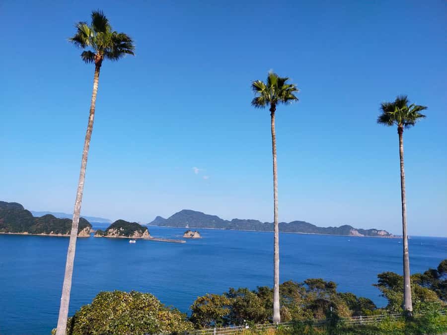 Miyazaki: Surfing Lesson with Equipment Rental Service - What Is the Itinerary Like?