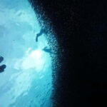 Moalboal: Pescador Island Hopping & Kawasan Canyoneering - Practical Tips for Participants