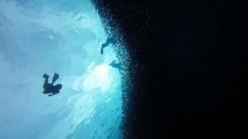 Moalboal: Pescador Island Hopping & Kawasan Canyoneering - Practical Tips for Participants