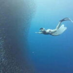 Moalboal: Pescador Island & Mantayupan Falls Adventure! - Stop in Carcar City: A Tasty Pause