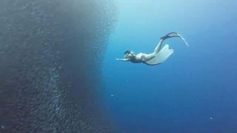 Moalboal: Pescador Island & Mantayupan Falls Adventure! - Stop in Carcar City: A Tasty Pause