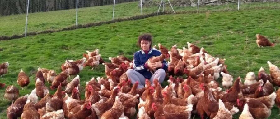 Moca: Farm Tour with Animal Feeding and Egg Collecting - How the Experience Is Structured