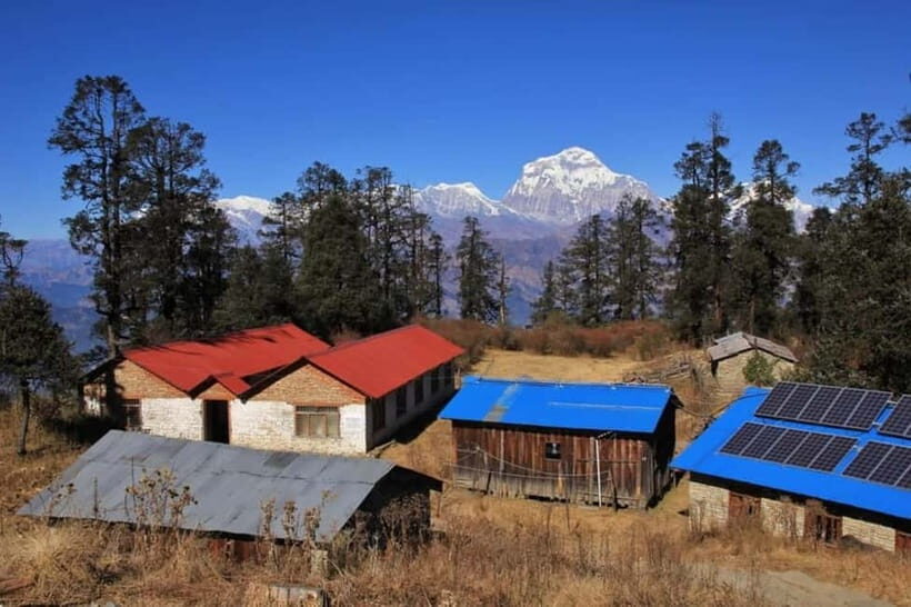 Mohare Danda Trek | 10 Days Trek | Nepal - What to Expect on the Trail