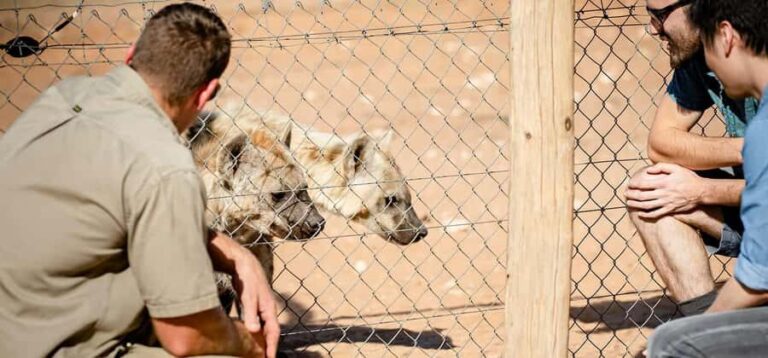 Monarto Safari Park: Keeper for a Day - Who Will Love This Experience?
