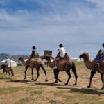 Mongolia: Mini Gobi, Orkhon, and Kharkhorin 4 Day Tour - Exploring Mongolia in Four Days