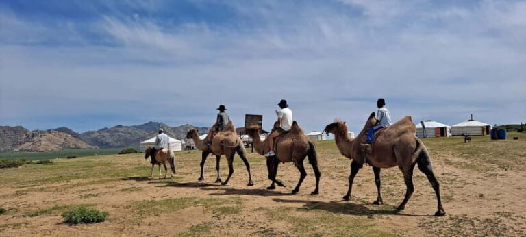 Mongolia: Mini Gobi, Orkhon, and Kharkhorin 4 Day Tour - What’s Included and What to Expect