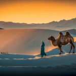 MONGOLIA SOUTH GOBI DESERT: 6 Day Exclusive Private Tour - What Makes This Tour Special?