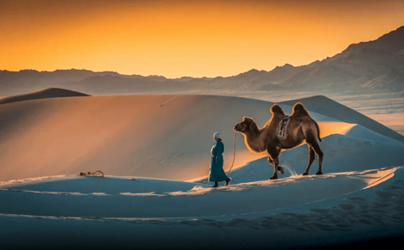 MONGOLIA SOUTH GOBI DESERT: 6 Day Exclusive Private Tour - What Makes This Tour Special?