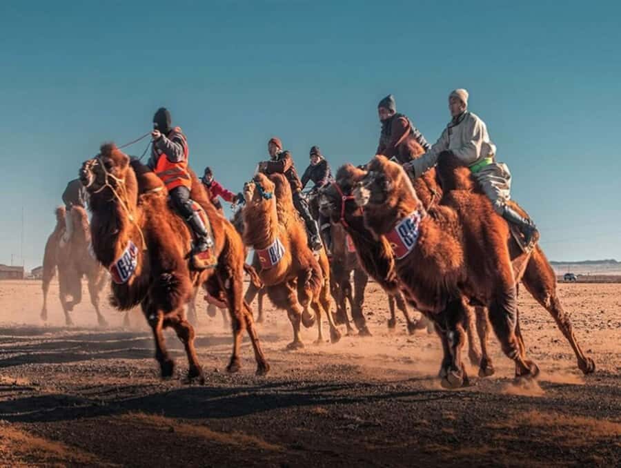 Mongolia: Thousand Camel Festival Tour 3 nights/4 days - FAQs