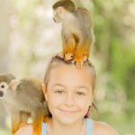Monkey House VIP Experience with 4 species of monkeys, Punta Cana - Conclusions: Who Will Love This Tour?