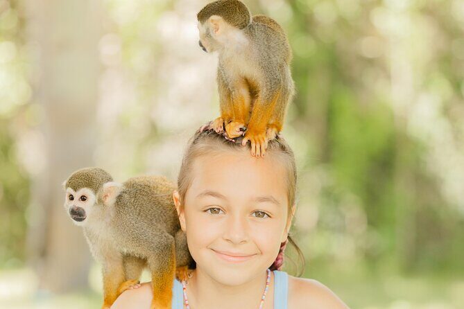 Monkey House VIP Experience with 4 species of monkeys, Punta Cana - Conclusions: Who Will Love This Tour?