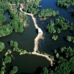 Monkey Island and Mangrove Forest Eco Tour from Ho Chi Minh - Practical Details and What You Should Know