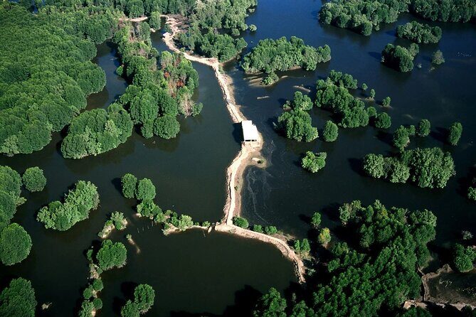 Monkey Island and Mangrove Forest Eco Tour from Ho Chi Minh - Practical Details and What You Should Know