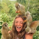 Monkey jungle tour + Transportation from cruise/hotel - The Monkeyland Experience: Up Close with Squirrel Monkeys