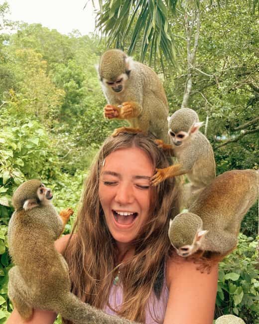 Monkey jungle tour + Transportation from cruise/hotel - The Monkeyland Experience: Up Close with Squirrel Monkeys