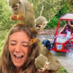 Monkey Land Plus Buggies in Puerto plata - The Details You Need to Know