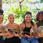 Monkey Magic and City Views in Puerto Plata - The Wildlife Encounter: Squirrel Monkeys at Saballo