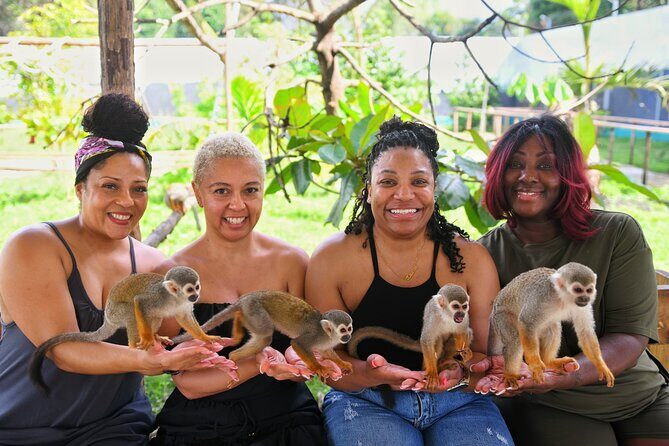 Monkey Magic and City Views in Puerto Plata - The Wildlife Encounter: Squirrel Monkeys at Saballo