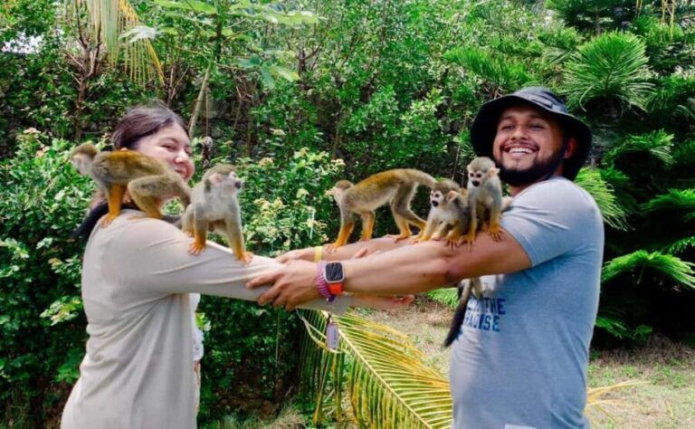 Monkeyland and Plantation Tour from Puerto plata - Practical Tips for Your Visit