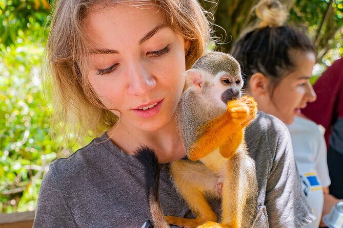 Monkeyland Samana Shared Adventure - Final Thoughts: Is It Worth It?