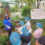 Monte Alto Coffee Tour: Jarabacoa Plantation Experience - Overview of the Monte Alto Coffee Tour