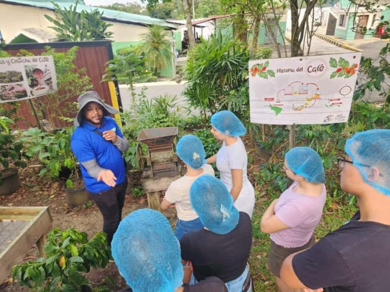 Monte Alto Coffee Tour: Jarabacoa Plantation Experience - Overview of the Monte Alto Coffee Tour