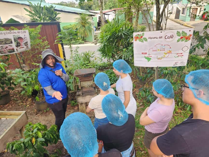 Monte Alto Coffee Tour: Jarabacoa Plantation Experience - Overview of the Monte Alto Coffee Tour