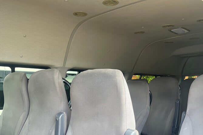 Montego Bay Airport and Royalton Negril Private Shuttle - Who Would This Tour Suit Best?