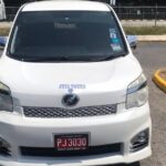 Montego Bay Airport Taxi to Princess Grand Jamaica Green Island - The Sum Up: The Value of a Smooth Start