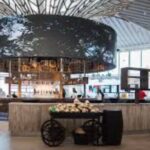 Montego Bay Airport Transfers to Hotels in Montego Bay - What to Expect: The Experience