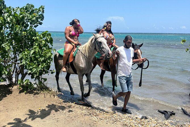 Montego Bay Beach Horseback Riding Tour - An Authentic Jamaica Beach Horseback Ride