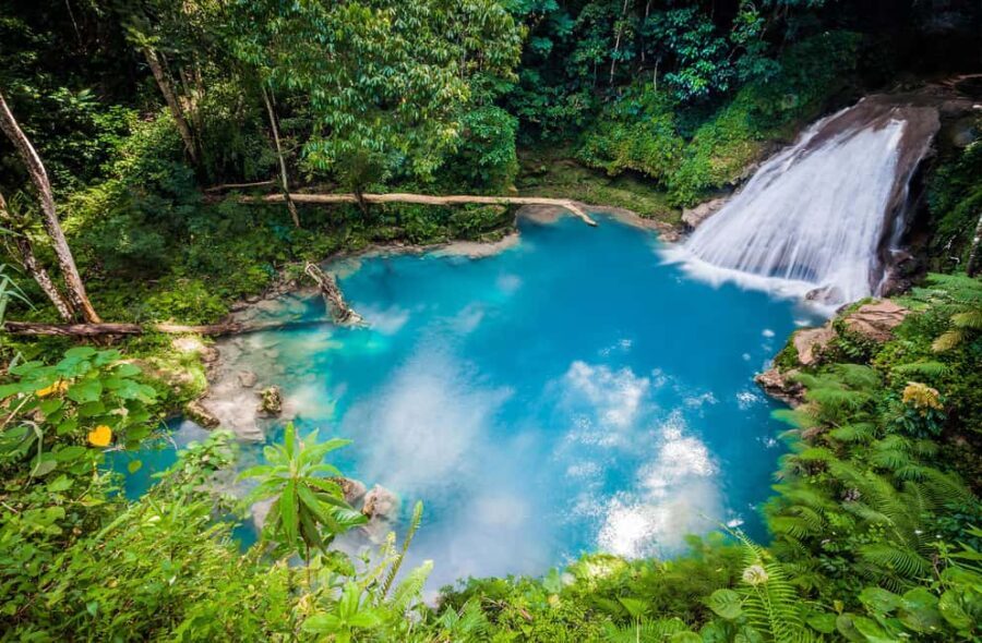 Montego Bay: Blue Hole, Dunns River, and Reggae Hill Tour - A Deep Dive into the Experience
