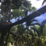 Montego Bay: Blue Hole, Dunn's River Falls, and Zipline Tour - The Experience in Detail