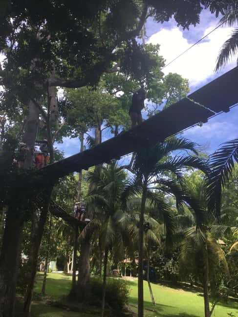 Montego Bay: Blue Hole, Dunn's River Falls, and Zipline Tour - The Experience in Detail