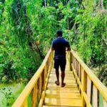 Montego Bay: Cockpit Caves Experience - What to Expect and Practical Tips