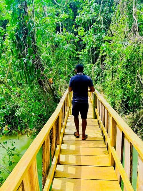 Montego Bay: Cockpit Caves Experience - What to Expect and Practical Tips