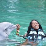 Montego Bay: Dolphin Cove Ocho Rios Day Trip with Transfers - What’s Included and What to Expect