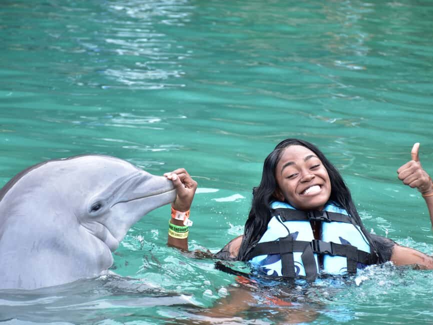 Montego Bay: Dolphin Cove Ocho Rios Day Trip with Transfers - What’s Included and What to Expect