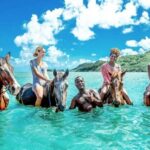 Montego Bay: Dunn's River Falls & Horseback Riding Adventure - Who This Tour Is Perfect For