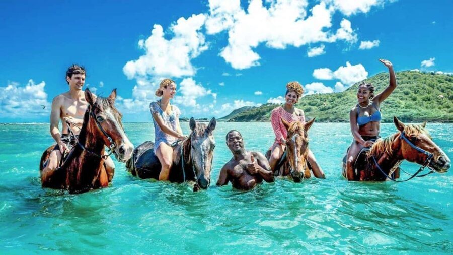 Montego Bay: Dunn's River Falls & Horseback Riding Adventure - Who This Tour Is Perfect For